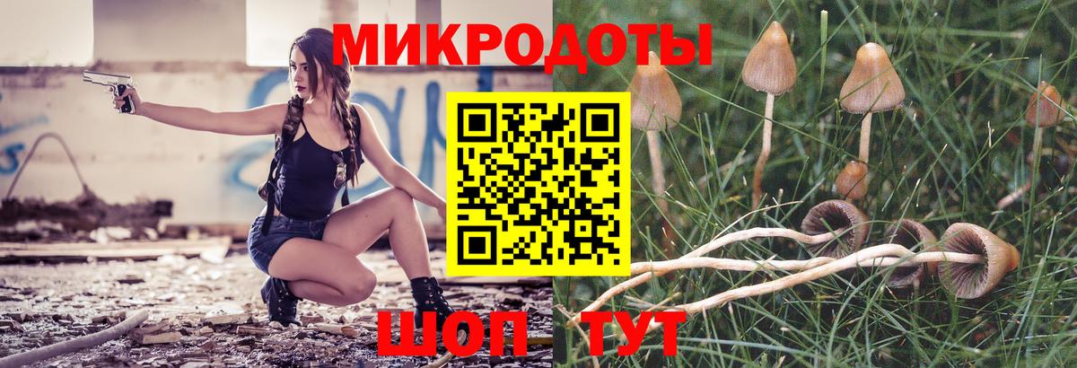 Псилоцибиновые грибы мицелий  Галлюциногенные грибы мухоморы  Миллерово  Вход с VPN 